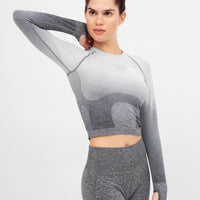 Long Sleeve Ombre Seamless Cropped Long Sleeve Sport Top - Squatproof