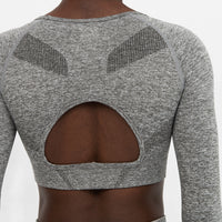 Long Sleeve Effort+ Seamless Cropped Long Sleeve Sport Top