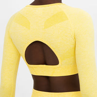 Long Sleeve Effort+ Seamless Cropped Long Sleeve Sport Top