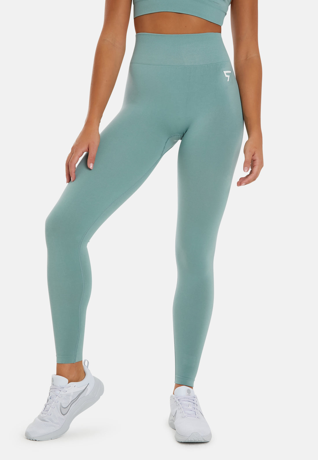 Leggings Albion Seamless High Waisted Sports Leggings - Squatproof