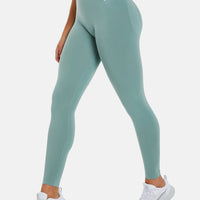 Leggings Albion Seamless High Waisted Sports Leggings - Squatproof