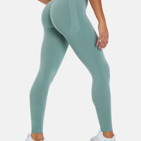 Leggings Albion Seamless High Waisted Sports Leggings - Squatproof