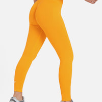 Leggings Titan seamless high waisted leggings