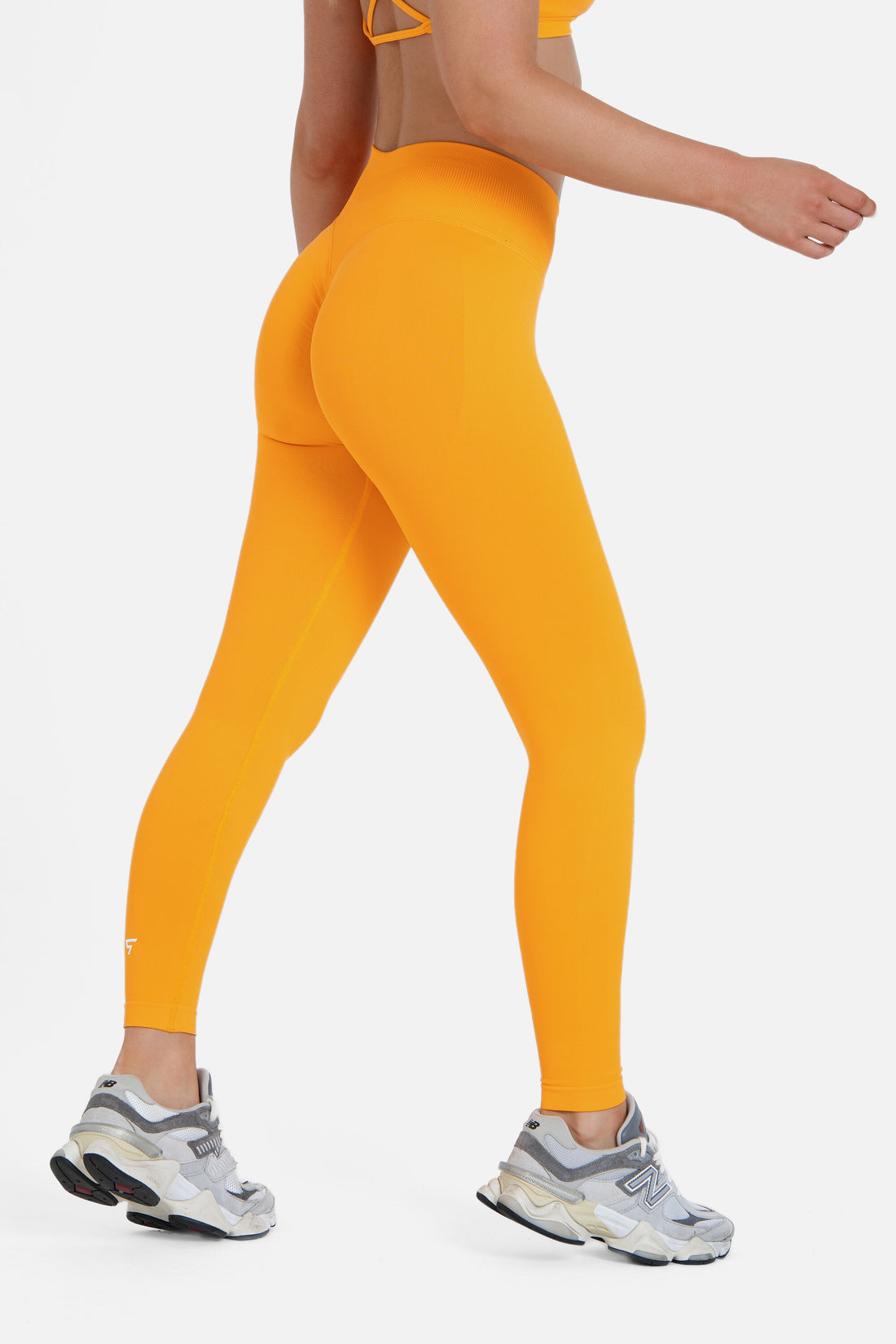 Leggings Titan seamless high waisted leggings